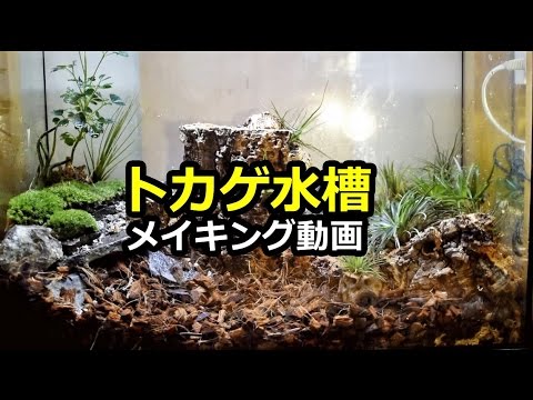 トカゲ水槽メイキング動画 Lizard Making Of Mt Fuji Layout Youtube