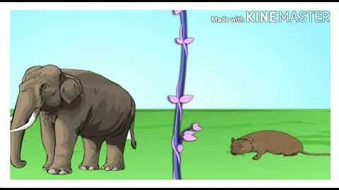 Std : 4.Sub : EVS 1. Ls no  2  The Inter- relationships  between Living Things.