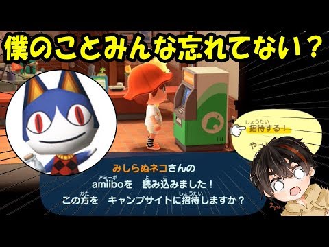 どうぶつの森　amiibo　アミーボ　猫　ネコ　ねこ