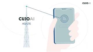 CUJO AI for Wireless