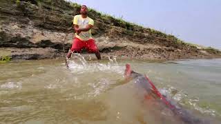 Wow Unbelievable Fishing Method In River Underwater Monster Fish Catching By Chain#fishing