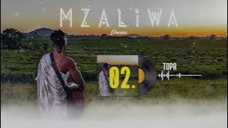 DRIEMO - TOPA ( audio visualizer) #Mzaliwa