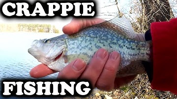 Crappie Fishing From the Bank with Gulp Minnows (Easy Float Fishing)
