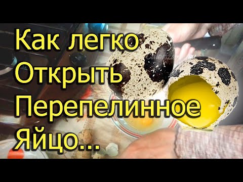 Как Легко Открыть Перепелиное Яйцо Без Спец - Ножниц...