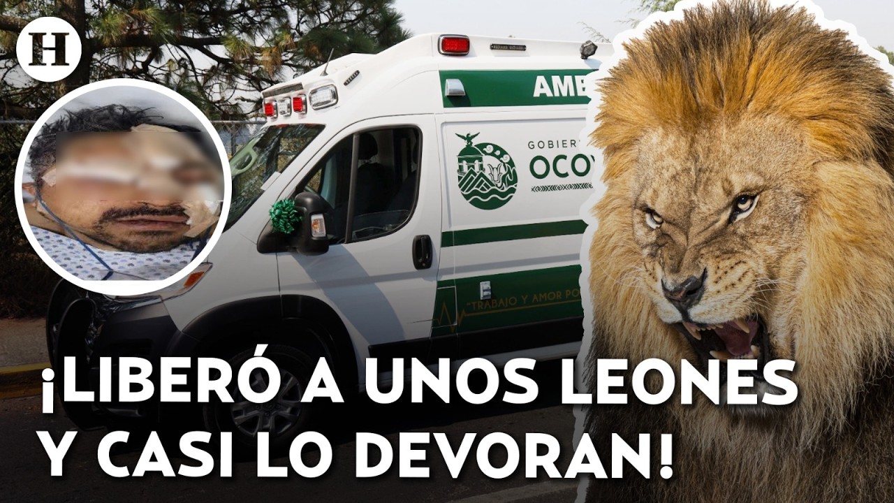 ¡Se sintió domador y todo salió mal! Sujeto en estado de ebriedad ibera a 6 leones en el Edomex