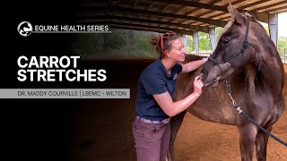 5 Simple 'Carrot Stretches' for your horse