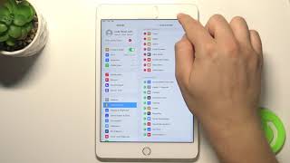 How to Enable/Disable Silent Mode on iPad mini 4 – Block Sounds & Vibrations screenshot 3