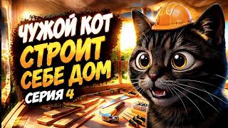 A STRANGER CAT BUILDS A HOUSE / Episode 4