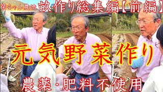☆【保存版】菌ちゃん農法畝作り（前編） 自然界の糸状菌にはすごい働きがあった…  @暮らしツムツム梅おむすびチャンネル
