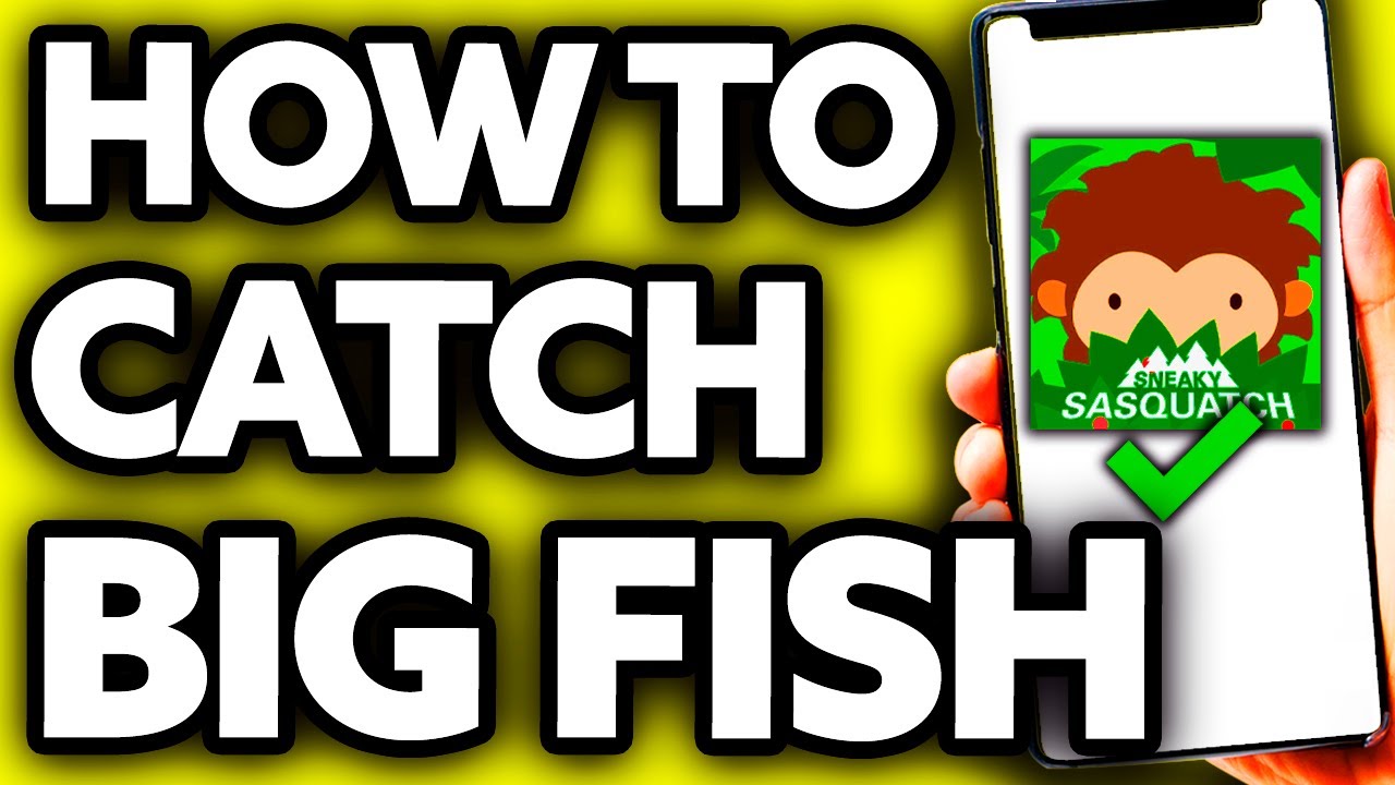 How To Catch Big Fish in Sneaky Sasquatch (EASY!) YouTube