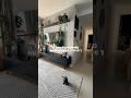Transformando Minha Sala - Parte 1