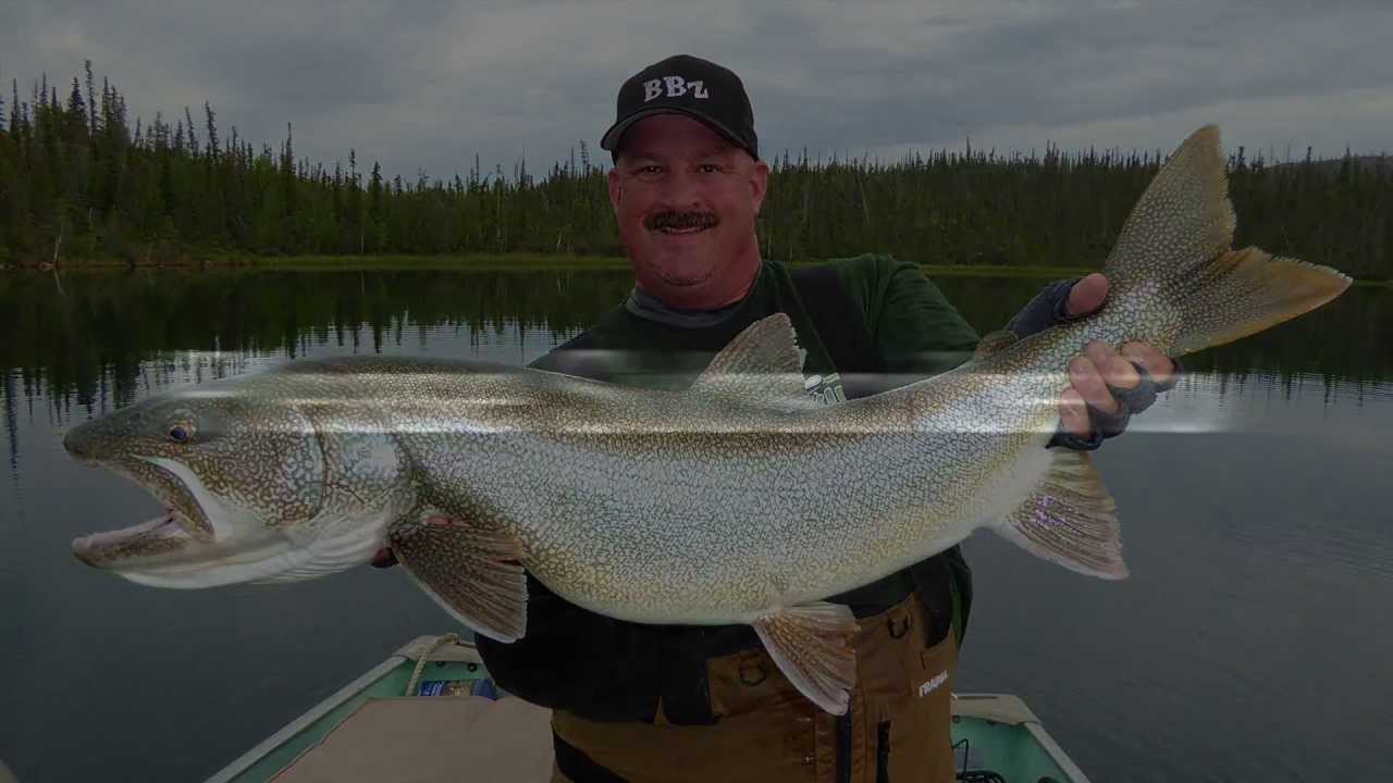 Trolling Monster Lake Trout Great Bear Lake. Finish Your Troll. YouTube
