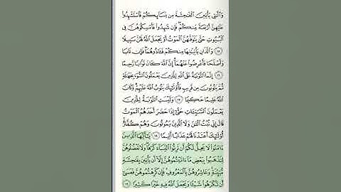 سورة النساء - من الآية 12 حتى الآية 23