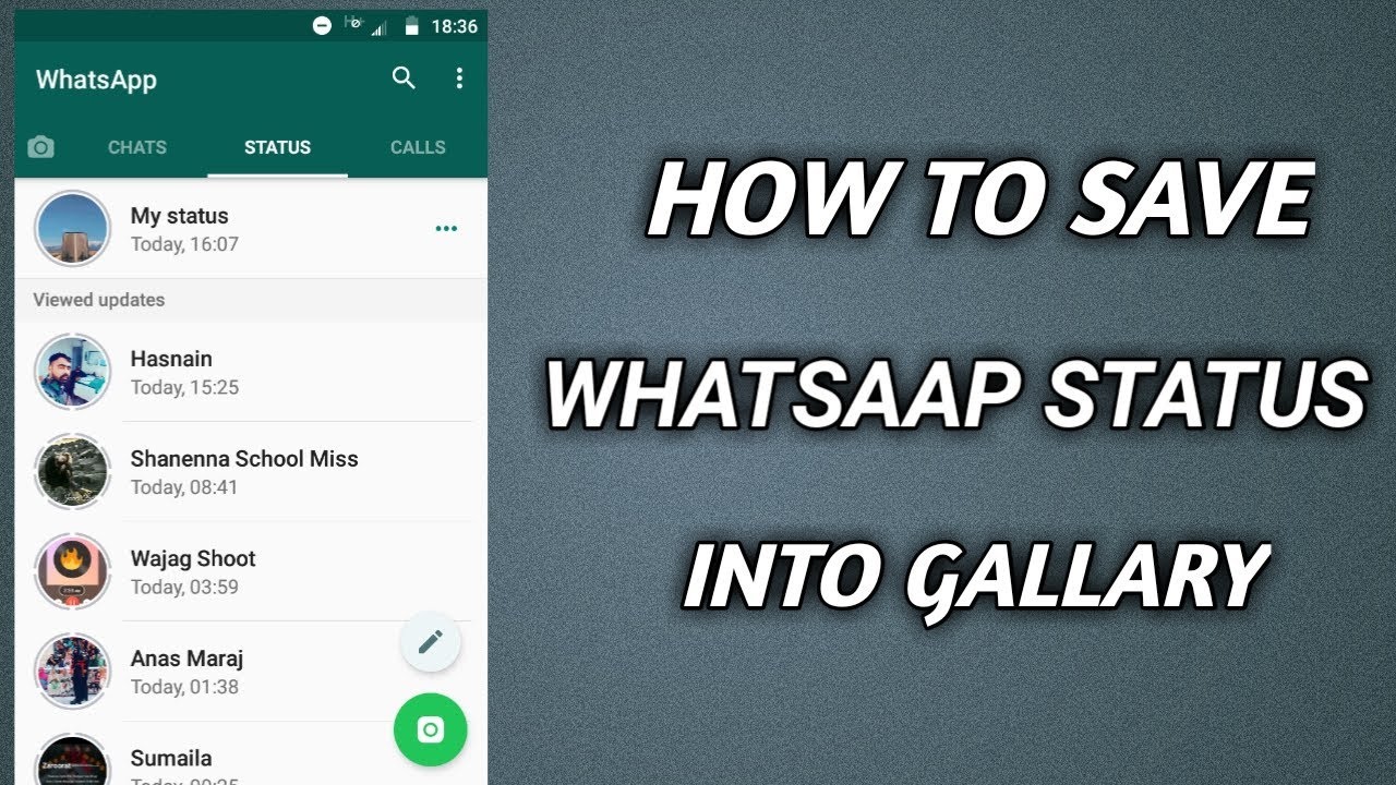 How To Save Whatsaap Status Into Gallary YouTube how-to-save-whatsaap-status-into-gallary-youtube