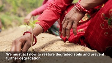 Soil carbon stocks are vital for food production and climate change mitigation