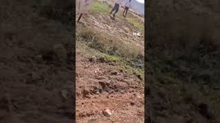 Israeli Settlers Shoot And Wound Three Palestinians In Bethlehem Resimi