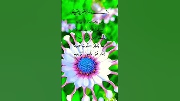 راحة نفسية 💚💛تلاوة مؤثرة بصوت جميل جدا حالات واتس اب دينية مؤثرة 💛💛