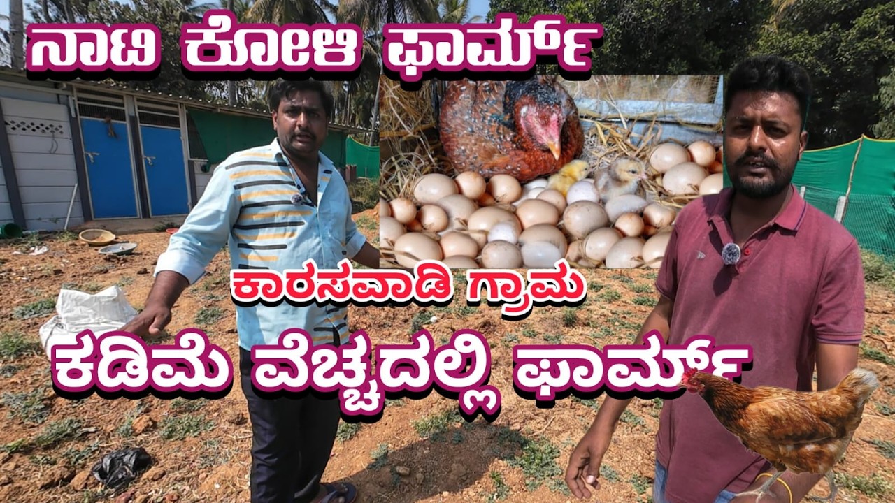 ನಾಟಿಕೋಳಿ ಫಾರ್ಮ್ ಕಡಿಮೆ ವೆಚ್ಚದಲ್ಲಿ | LOW BUDGET NATI KOLI FARM | FARM