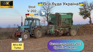 Копання цукрових буряків🚜🇺🇦На що , здатні 9-ти річні трактористи ⁉️