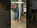 CAN she hit ? #fails #funny #comedy #omg #omgwhatshappening