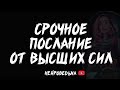 🔥 Срочное послание от Высших сил 🔥 Таро расклад 🔥 Таротерапия