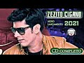 Zezito Cigano 2021 /- CD completo