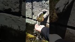This little fountain Provides Endless enjoyment۔So refreshing!💧✨Cool Clear water 💦#nature lover 🏞️