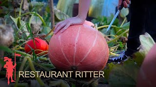 Restaurant Ritter Fulda Kürbis Aus Dem Rittergarten