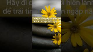 Let&#39;s go with a gentle person so that your heart is always sunny #bimat#batmi#sucmanh