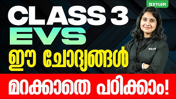 Class 3 EVS | ഈ ചോദ്യങ്ങൾ മറക്കാതെ പഠിക്കാം! | Xylem Class 3