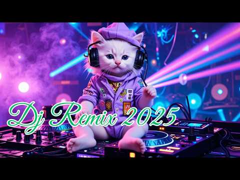 Dj Remix 2024 |dj breakbeat 2024 terbaru  |dj breakbeat 2024  |dj