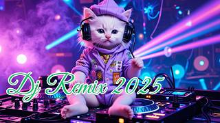 Dj Remix 2024 |dj breakbeat 2024 terbaru  |dj breakbeat 2024  |dj