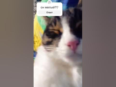 КИТИКЭТ - YouTube