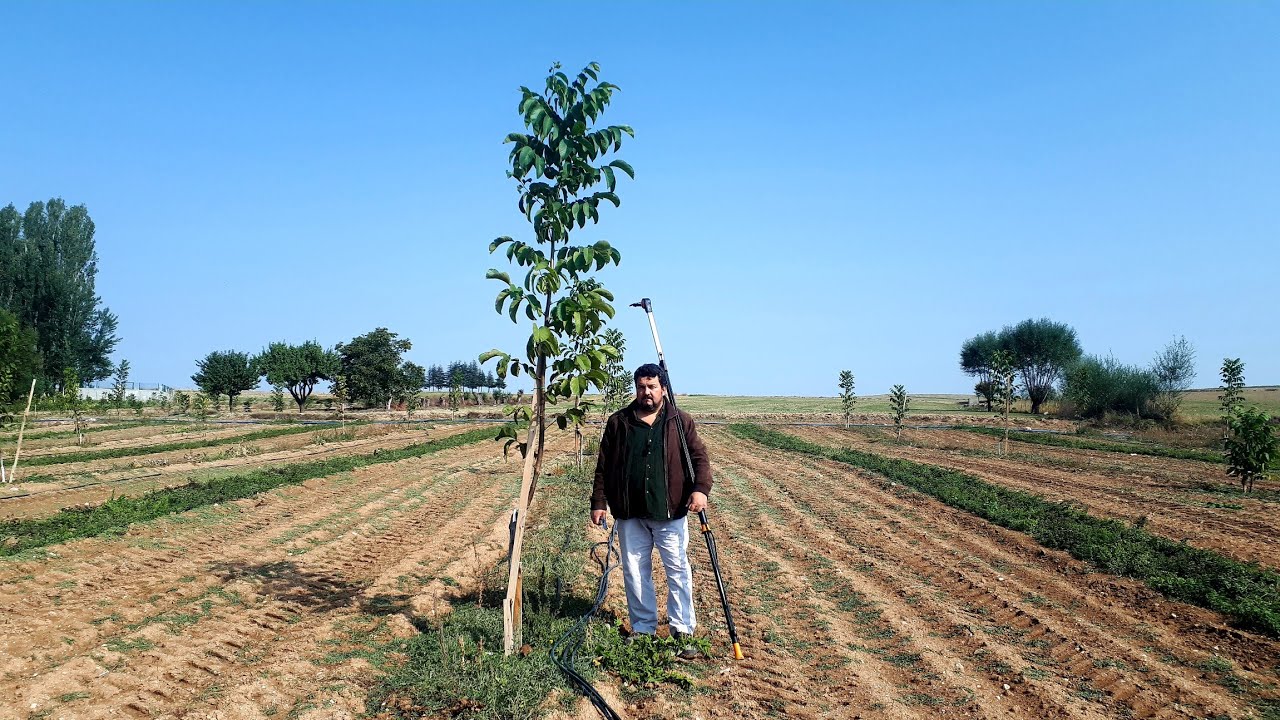 1 YAŞTAN 3 YAŞA KADAR NASIL BUDAMA YAPMALIYIZ