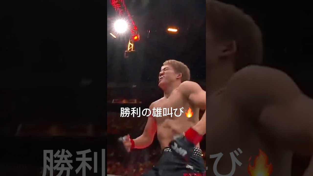 朝倉海はやっぱりバンダムなんかな🔥#ufc
