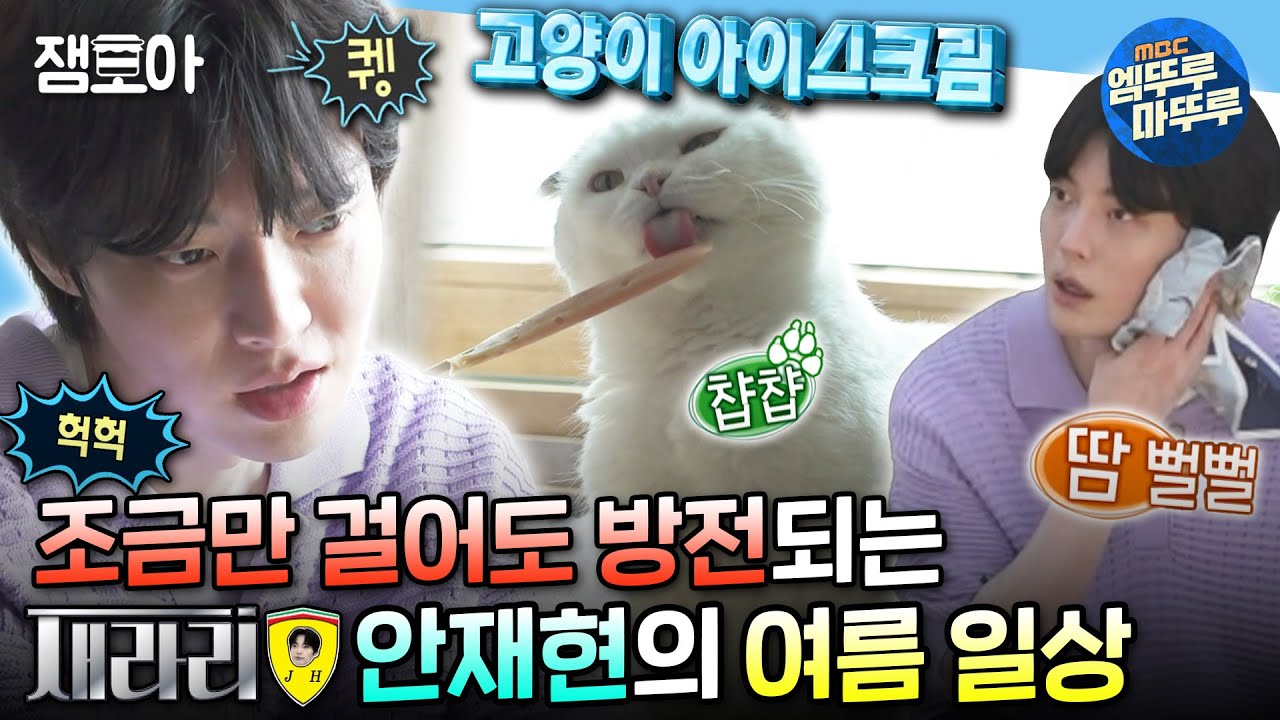 [#나혼자산다] 더운 여름에 털옷(?) 입고 있는 안주를 위해 고양이 전용 아이스크림 준비한 재현😺 | #안재현 #배우 MBC240712방송