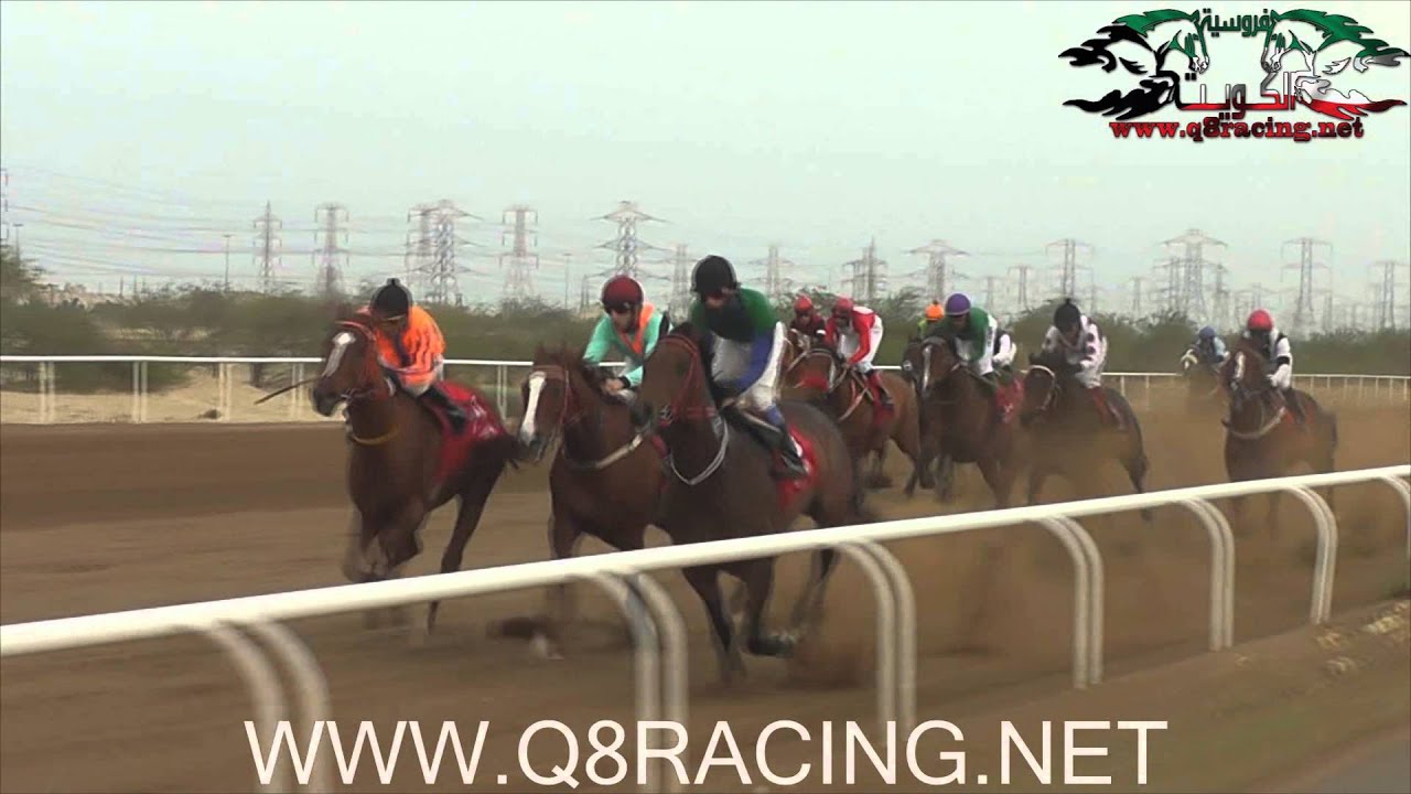 محيا الخير لإسطبل الغران