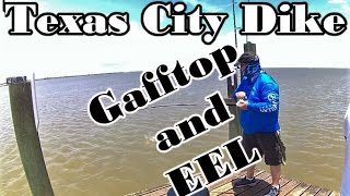 A trip i took little while back to the dike. caught large gafftop and
brown eel but this was slow one. great day fishing catching. reme...