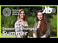 What to see in summer | Seasonal Changes (Audio Described)
