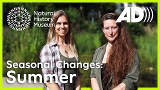 What to see in summer | Seasonal Changes (Audio Described)