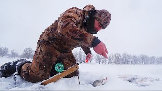 Зимняя Рыбалка, Бешеный Клёв И  Первый Снег На Нижней Волге.