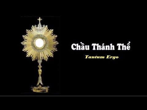 Video Chầu Thánh Thể - Tantum Ergo - youtube