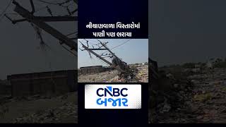 Dahod | Unseasonal Rain | Gujarat | Dahod Weather | Gujarat Weather | Business Updates | WATCH