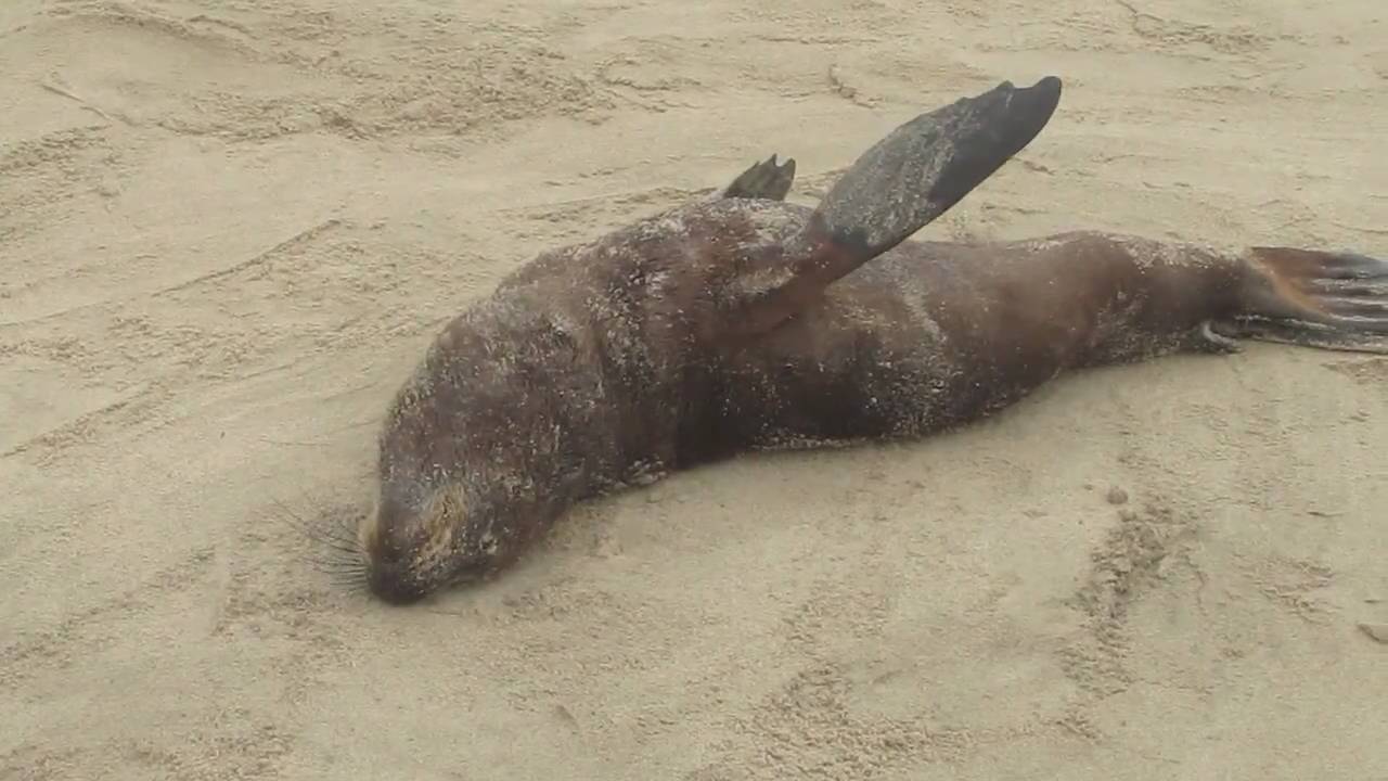Skeleton Coast National Park