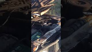 This Car Never Seen B4 Only In Soweto South African Youtuber