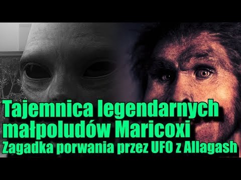 Wideo: Tajemnica Czaszki Sealandu I Wersja Obcego Pochodzenia - Alternatywny Widok