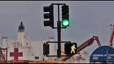 Old Econolite Traffic Light & McCain Neon Pedestrian Signal (E Harbor Dr & Belt St)