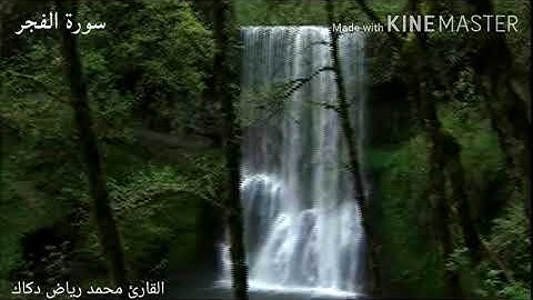سورة الفجر قراءة هادئة القارئ محمد رياض دكاك -