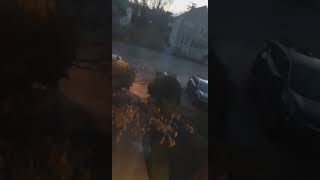 Creature Crying In Anguish With Alien Sounds Recorded In Warwick Rhode Island.