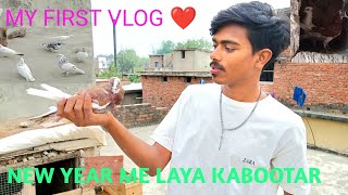 my first vlog kabootar video 🕊️❤❤ 💯👿😱new saal me laya kabootar 🕊️ #viral #video #tranding #subscribe